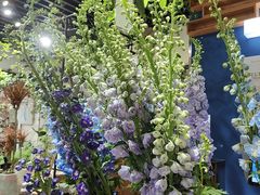 -弗劳尔花艺坊(龙涛店)