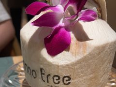 -mango tree芒果树餐厅(广州K11购物艺术中心店)