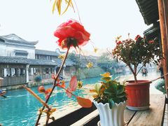-乌镇景区