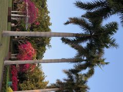 -白鹭洲公园