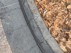 -江南雅厨(李公堤店)