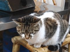 -铜瓢江湖兔火锅(水碾河社区店)