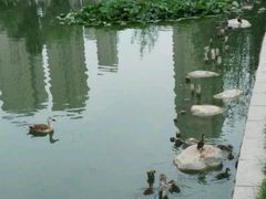 -前关湿地公园