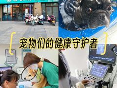 -心仪动物医院·牙专科·肿瘤·心脏科(西客站院)