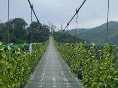 -石燕湖生态旅游景区