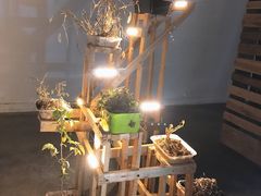-太平老街-前行美术馆