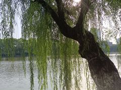 -沙市市中山公园