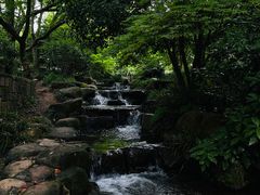 -中国茶叶博物馆(双峰馆区)