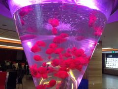 -0791赣菜新概念(福州路店)