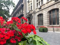 -飞马旅黎黄陂路文旅街区
