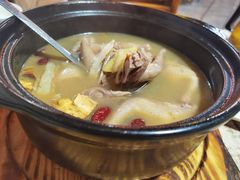 -东鸽皇(奥园·中环广场店)