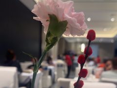 -凯鸽酒楼(操场城店)
