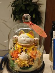 -十月日记高端孕妈妈摄影(黄金大厦店)