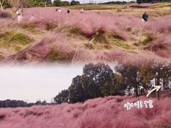 -苏州湾体育公园