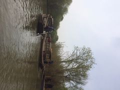 iphone_upload_pic-溱湖国家湿地公园