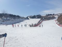 -蓟洲国际滑雪场