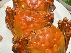 -青蓬蒸汽海鲜·深圳老字号·团建聚会(壹方城店)