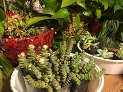 -云之南(八里庄店)