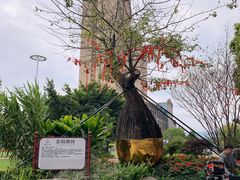 -河源客天下-温泉小镇