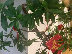 -三人行骨头王火锅(长寿店)