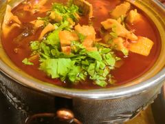 铜锅烧牛肉-伊兰麒兰馨园·川菜·清真馆(339电视塔店)