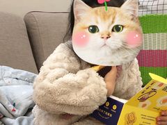 -黛汀烘焙DAINTY BAKERY(正弘汇店)