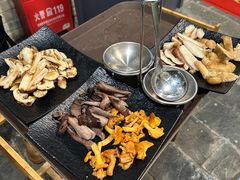 -蘑统田下·野生菌火锅