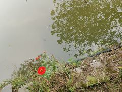 -金稼园·金平湖农家菜