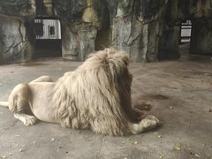 -南昌动物园