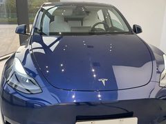 -TESLA 特斯拉(郑州正弘城体验店)
