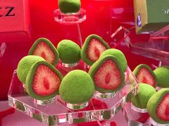 -TIAT DUTY FREE SHOP NORTH(羽田机场店)