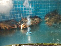 -四川小胡子海鲜(丁村万人海鲜广场店)