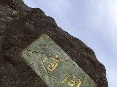 -大姆山草场