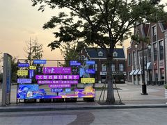 -荷兰花海