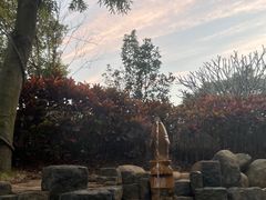 -龙佳生态温泉山庄