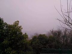 -合肥滨湖国家森林公园