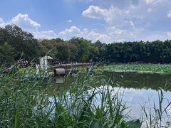 -翠湖里(翠湖南路店)