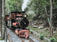 -九龙江国家森林公园