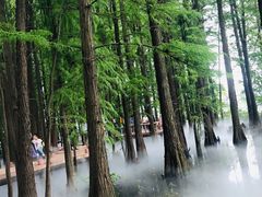-东湖落雁景区