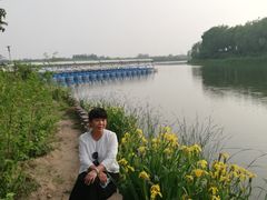 -大兴滨河森林公园