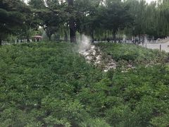 -丰台花园