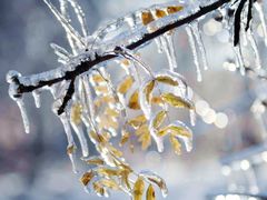 -长春公园(普阳街道)