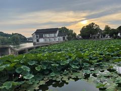 -绍兴鉴湖君澜大酒店