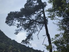 -东天目山风景区