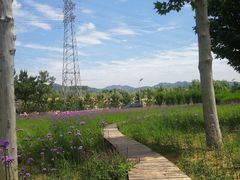 -羊亭河湿地公园