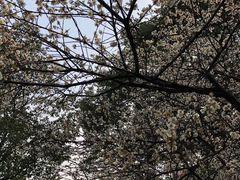-团城山公园