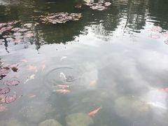 -晋江五店市传统文化旅游区