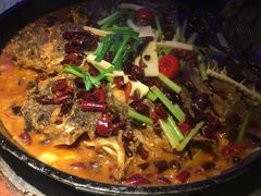 -老板恋上鱼(恒隆广场店)