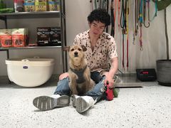 -電力宠物公司(武定路店)