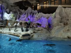 -帝企鹅自助餐厅•儿童岛•真企鹅(长隆企鹅酒店)